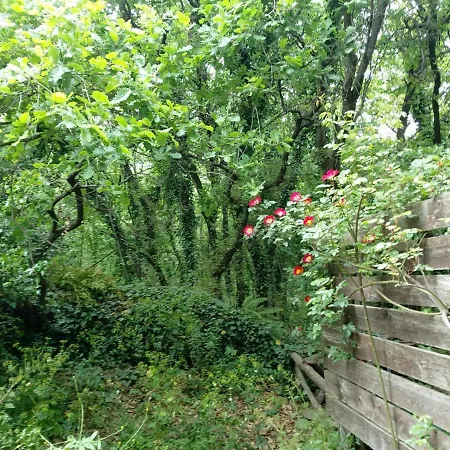 Furaha 펜션