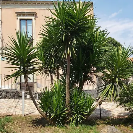 Furaha Trecastagni