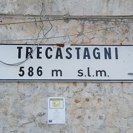 Furaha Сasa de vacaciones