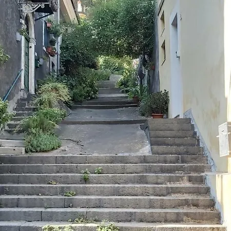 Furaha